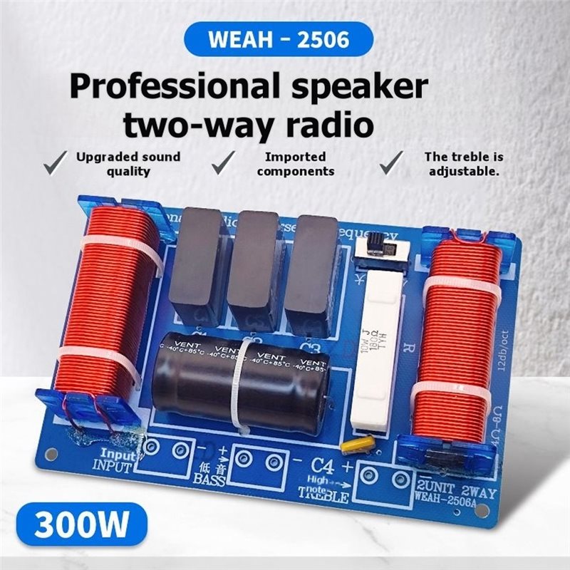 WEAH-2506B 300W 2-weg luidspre - Speaker Crossover recensie en prijs