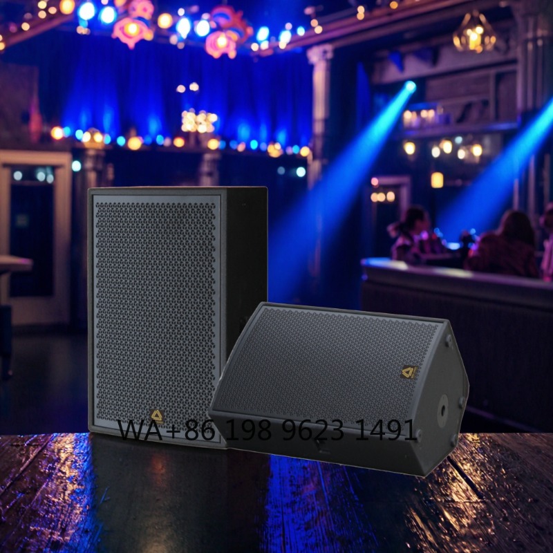 Hoogwaardige full-range profes - Full Range Speaker recensie en prijs